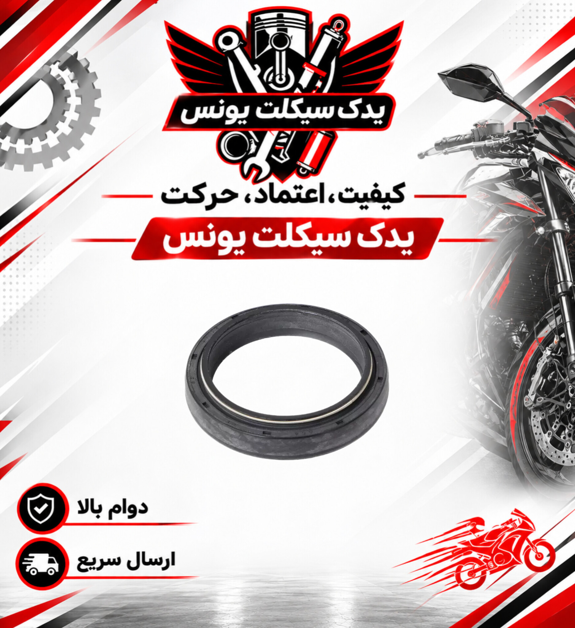 کاسه نمد کمک جلو موتور بنلی 300 (دانه ای)